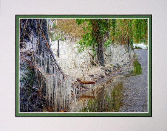 Frost Fence