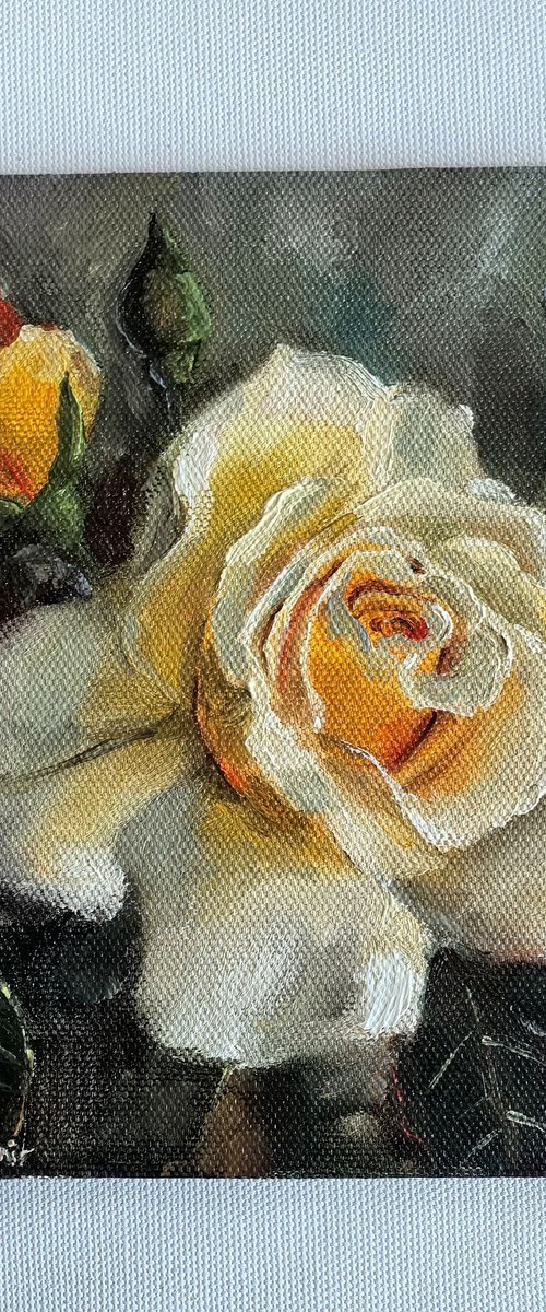 Yellow roses still life by Leyla Demir
