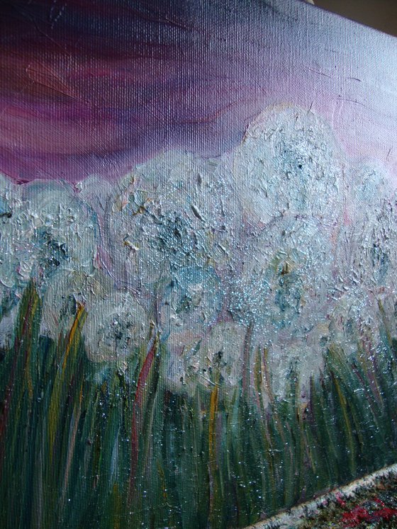 Field of dandelions