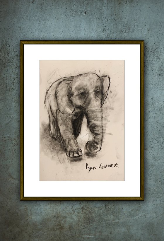 Happy Elephant - Small Drawing