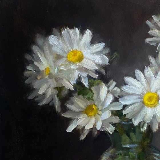 Daises. Floral Still Life