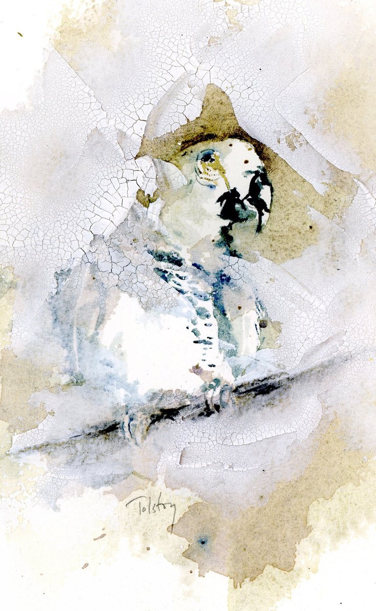 Impressionistic Animal Painting By Alex Tolstoy, 8 X 12, Gray Parrot, Original Artwork