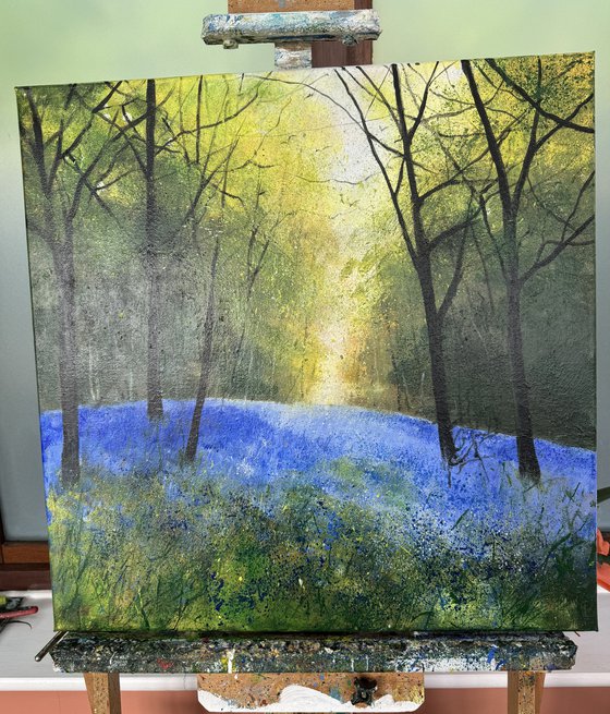 Warm light Through Bluebells
