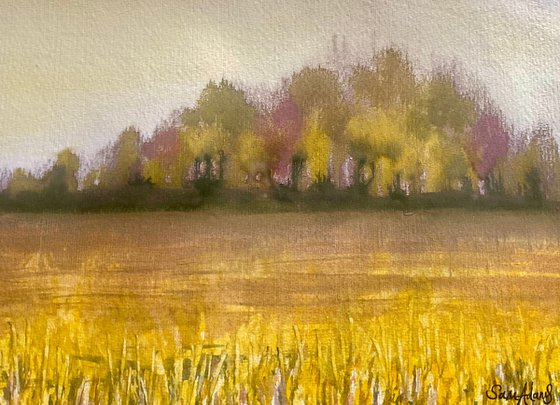By the yellow field , Wiltshire