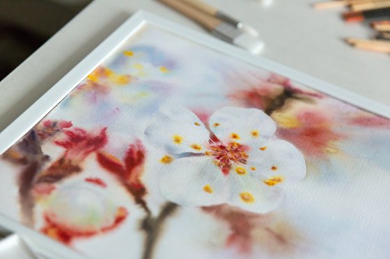 Blossom of the spring
