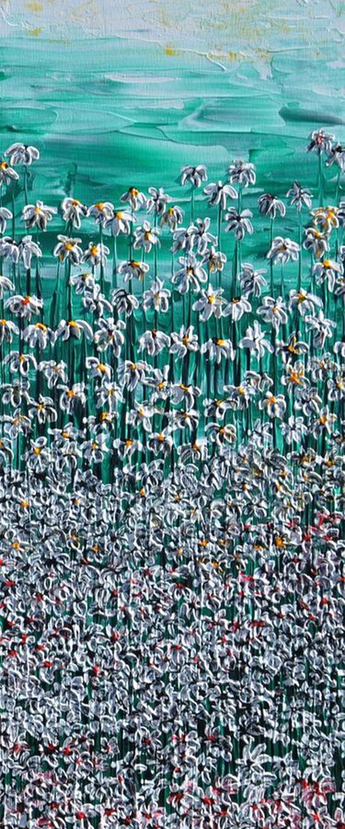 A Meadow Full Of Daisies by Daniel Urbaník