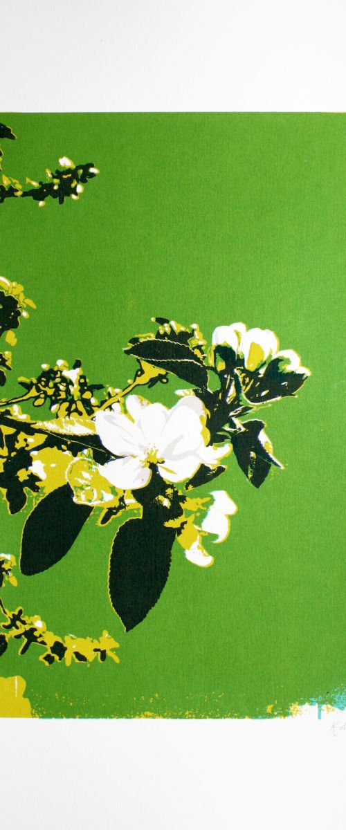 Spring Blossom (green) by Kath Edwards