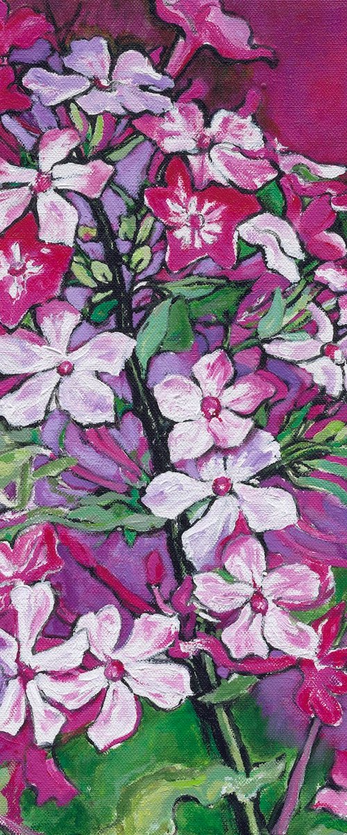 Pink flower spray study by Patricia Clements