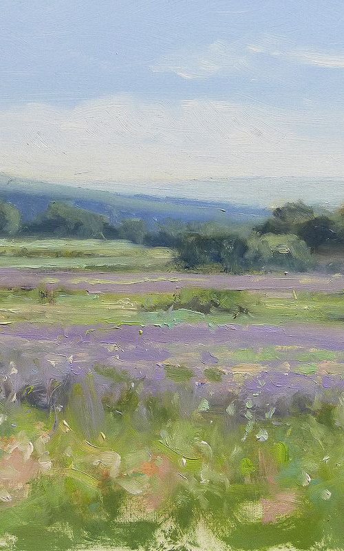 Lavender near Grignan by Pascal Giroud
