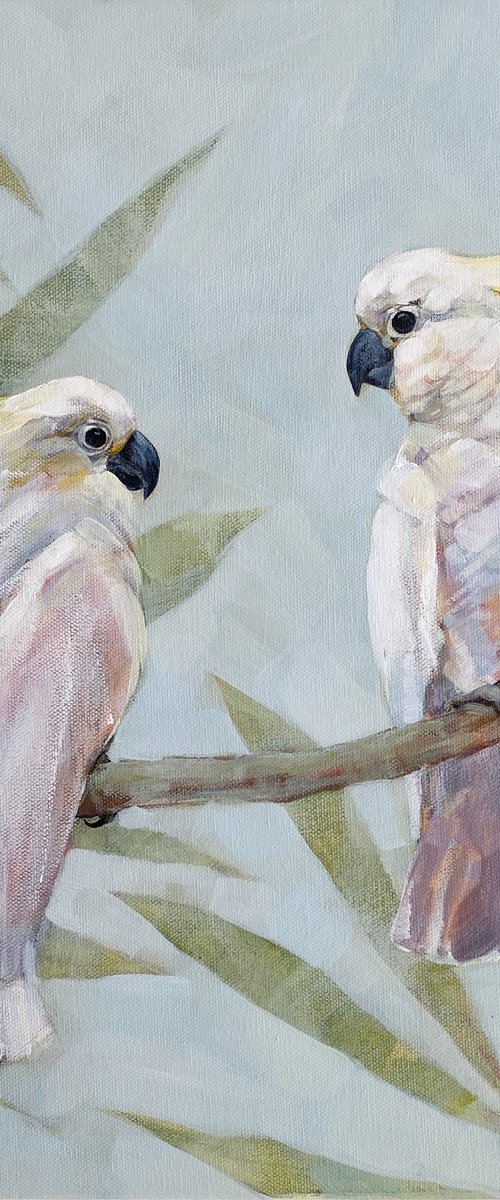 White Cockatoos by Anna Speirs