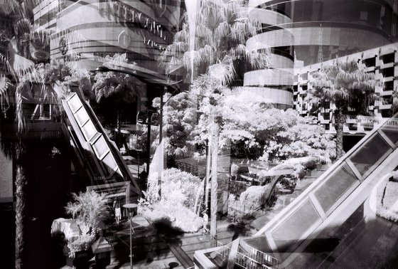 Fragility series. Urban jungle. Bangkok in Infrared