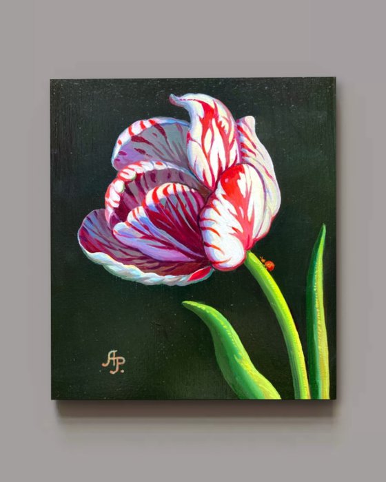 Tulip and ladybug