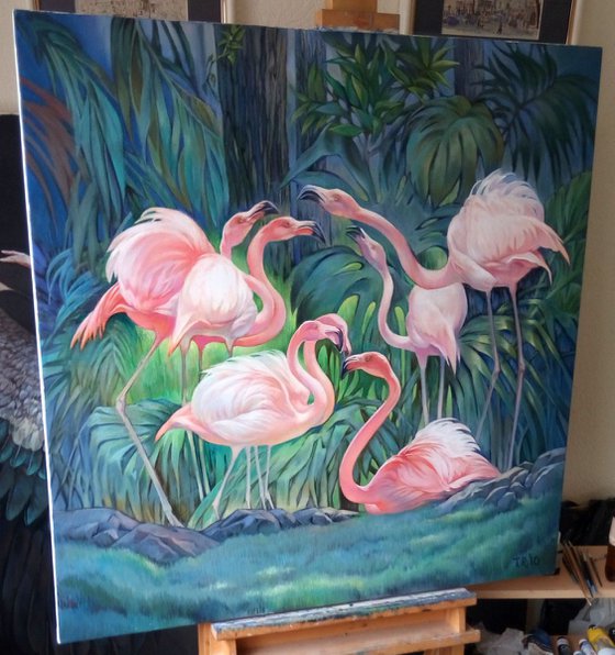 Flamingos