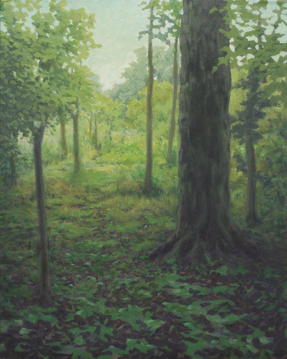 Through the Green Woods by John Fleck