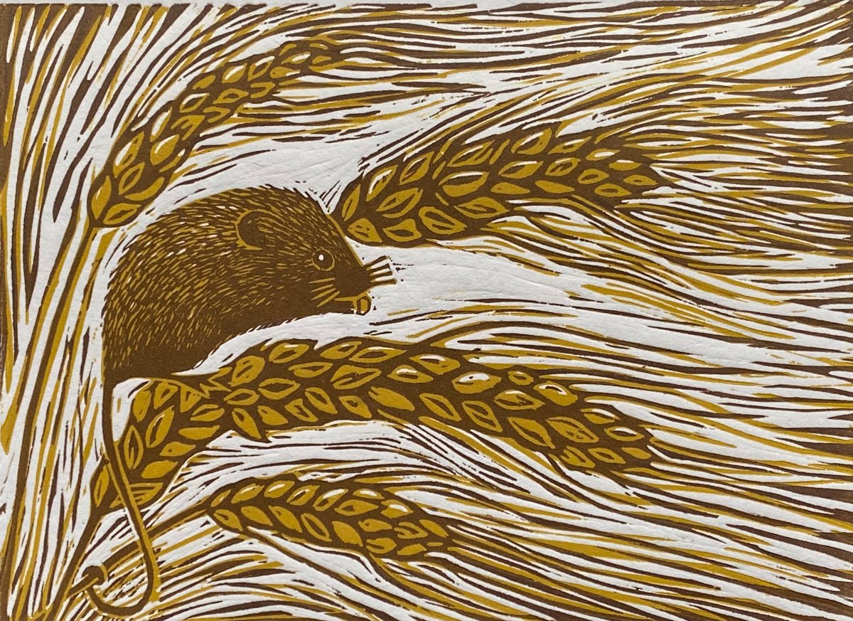 Limited edition handmade linocut. Harvest Mouse 12/95. by Jane Dignum