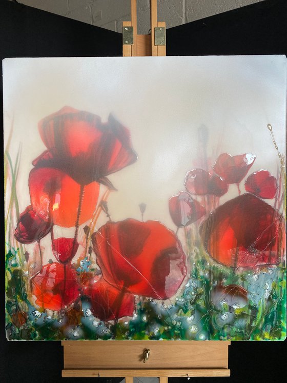 Field of poppies - Original & Limited Edition Prints Available