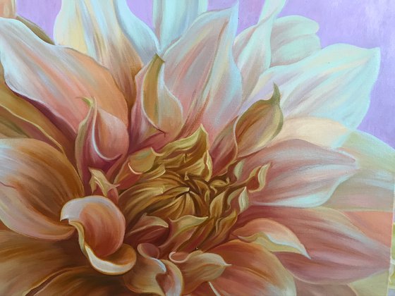 Dahlias “ Cafe au Lait “