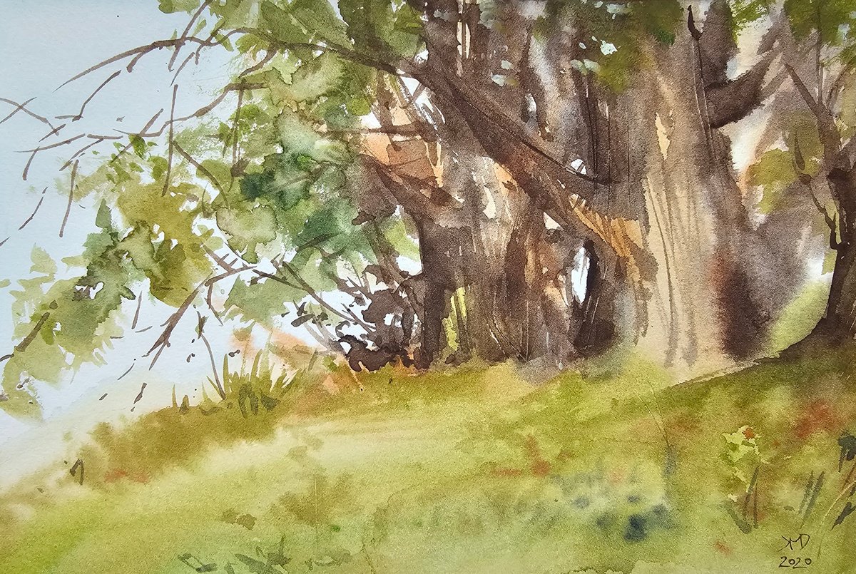 Expressive Botanical Drawing By Ksenia June, 10 X 7", Old Old Countryside Tree, Original Artwork