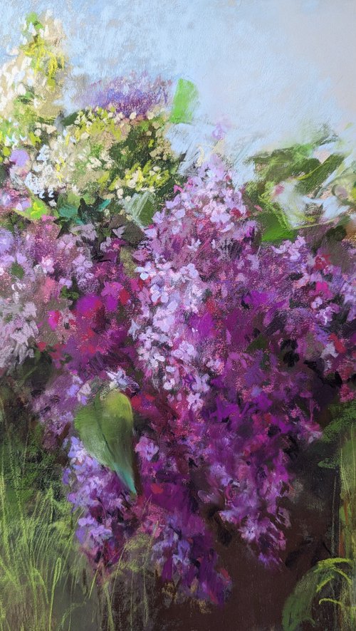 Lilacs 2`24 by Silja Salmistu