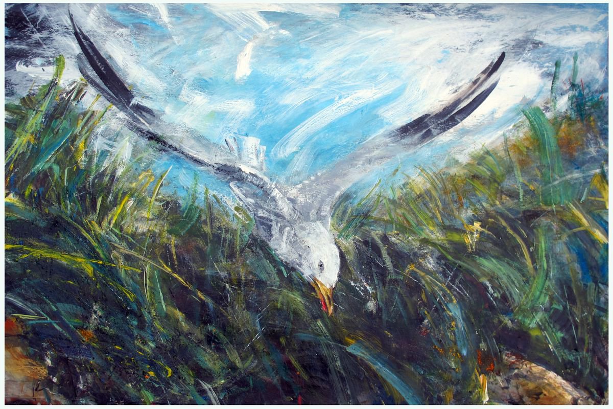 Gull, Camber Sands by John Sharp