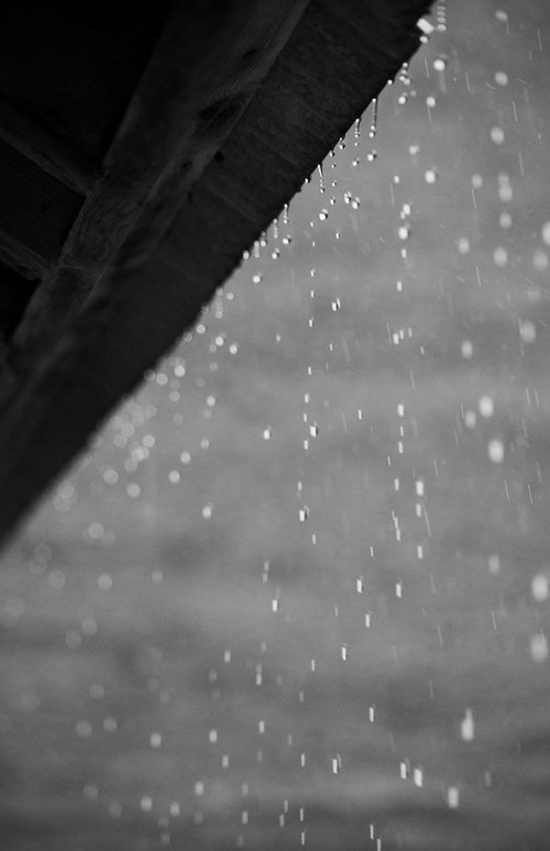 Rain by Charles Brabin