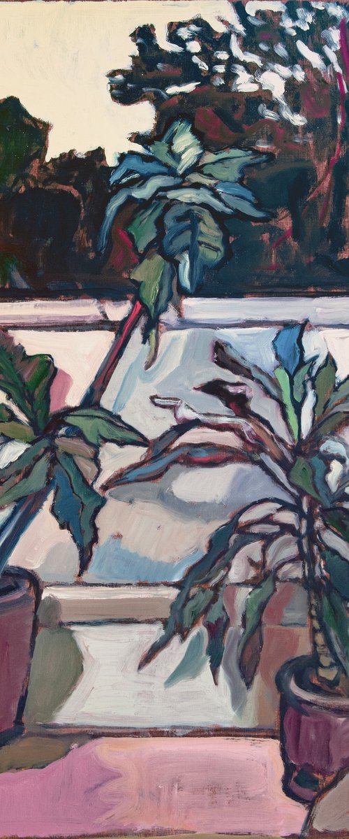 Two House Plants by Ishai Rimmer