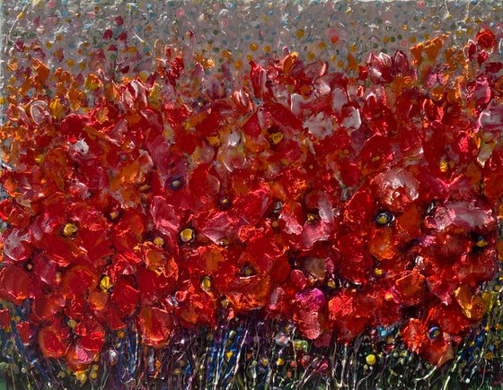 Poppy Field