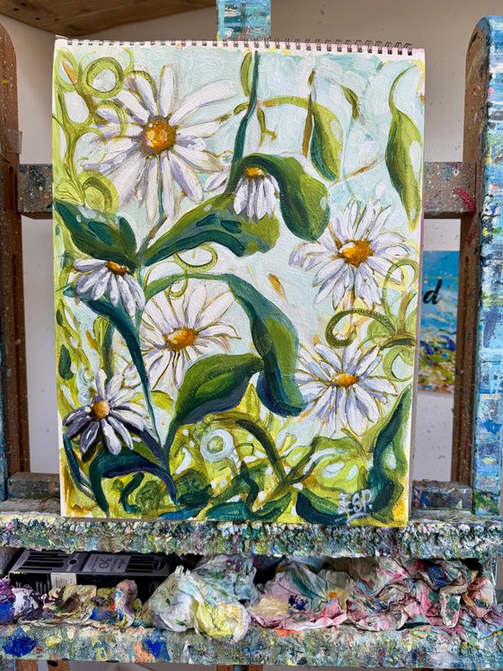 Daisies