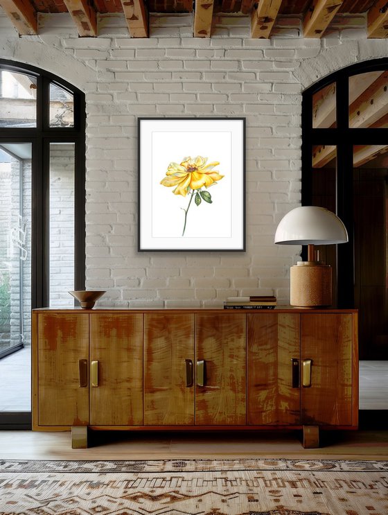 Greetings to the sun