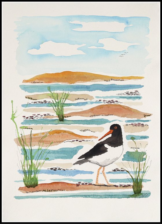 Oystercatchers Tide