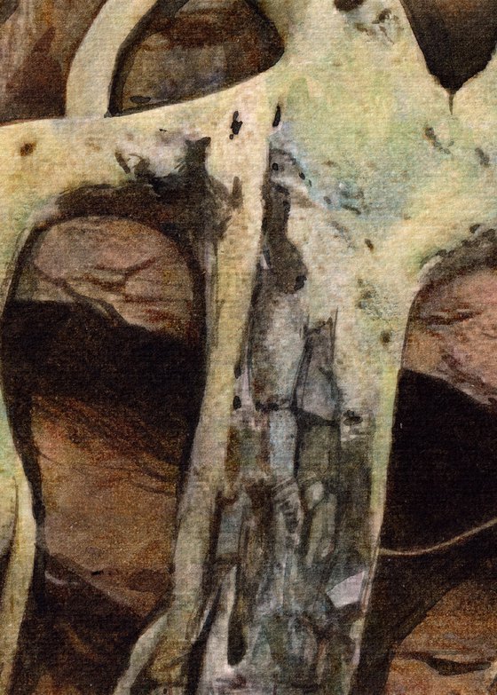 Mountain Tree Roots