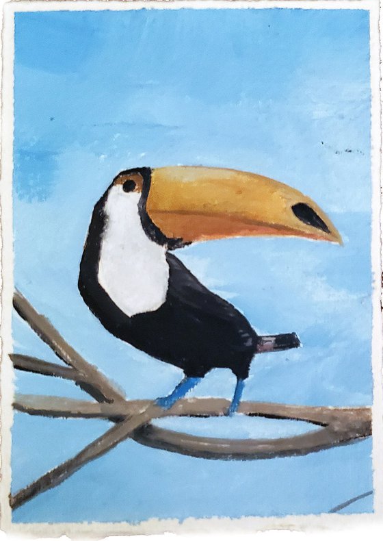 Toucan