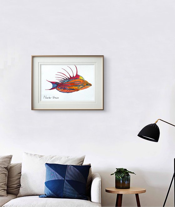 Exotic Colorful fish