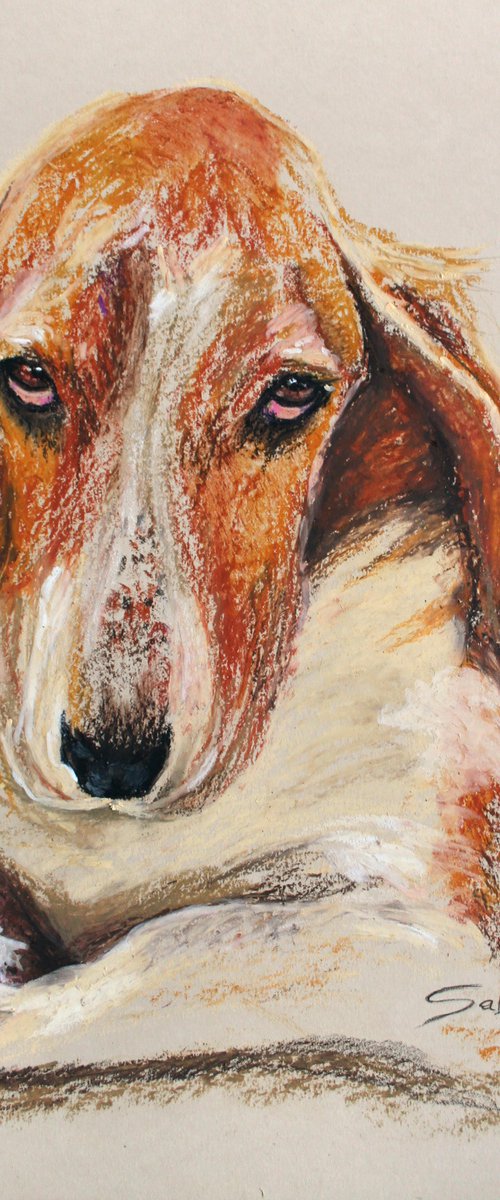 Dog I... Basset Hound /  ORIGINAL PAINTING by Salana Art Gallery