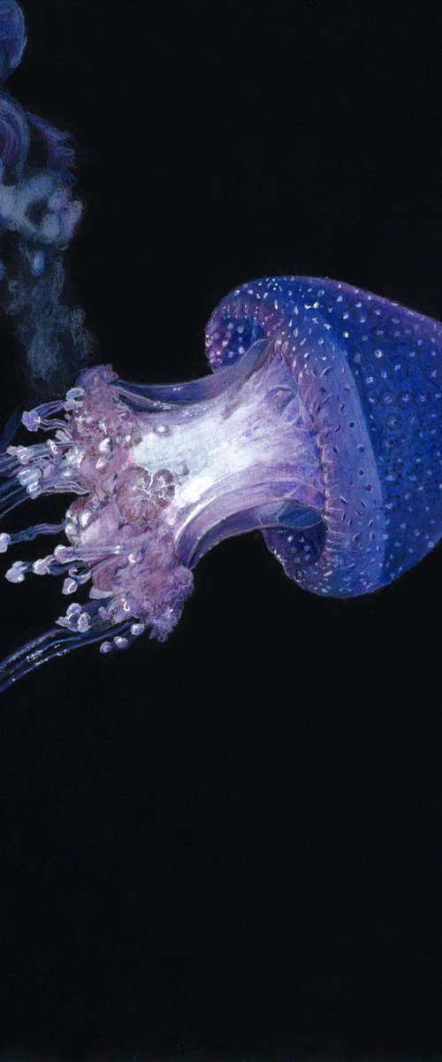 Ocean Glow by Annika Schmitt