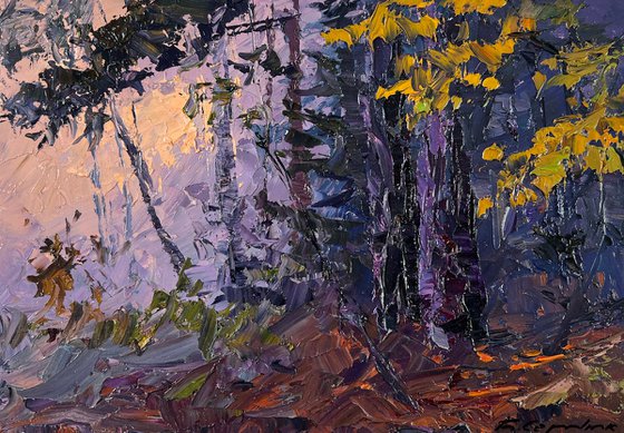 Fog in the Autumn Forest