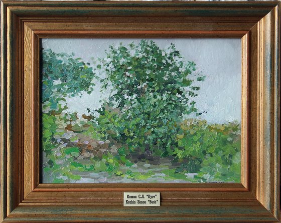 Bush