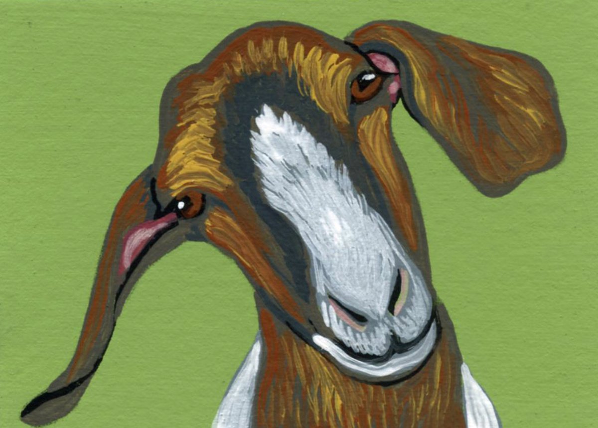 ACEO ATC Original Miniature Painting Boer Goat Pet Farmyard Art-Carla Smale by carla smale