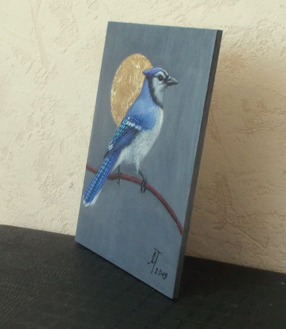 "Blue jay"