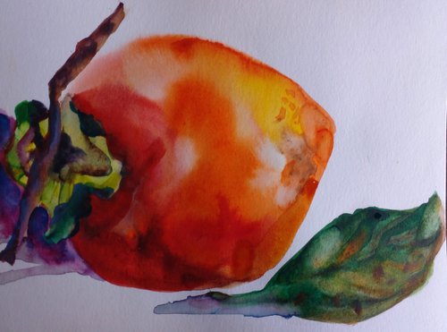 Juicy persimmon by Oxana Raduga