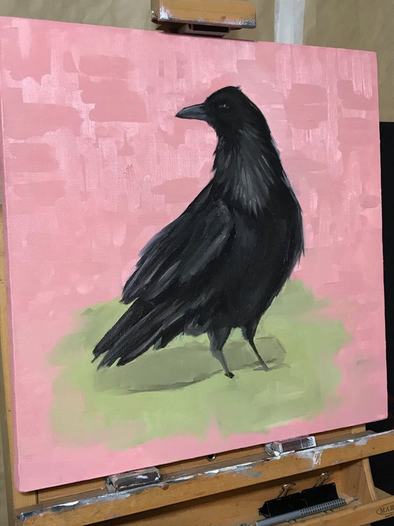 Crow on pink