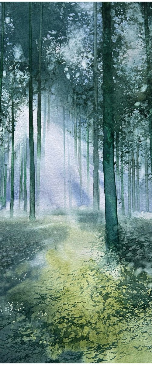 Path Through Silent Light by Nazar Grunyka