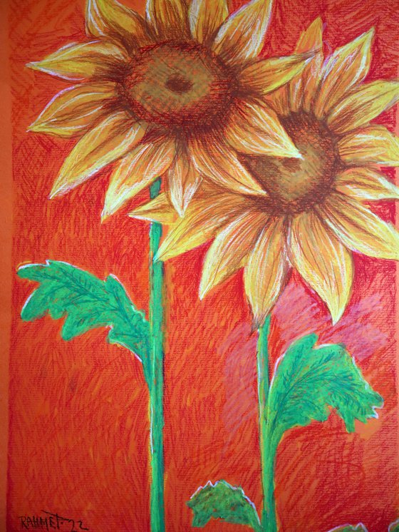 Two Sunflowers