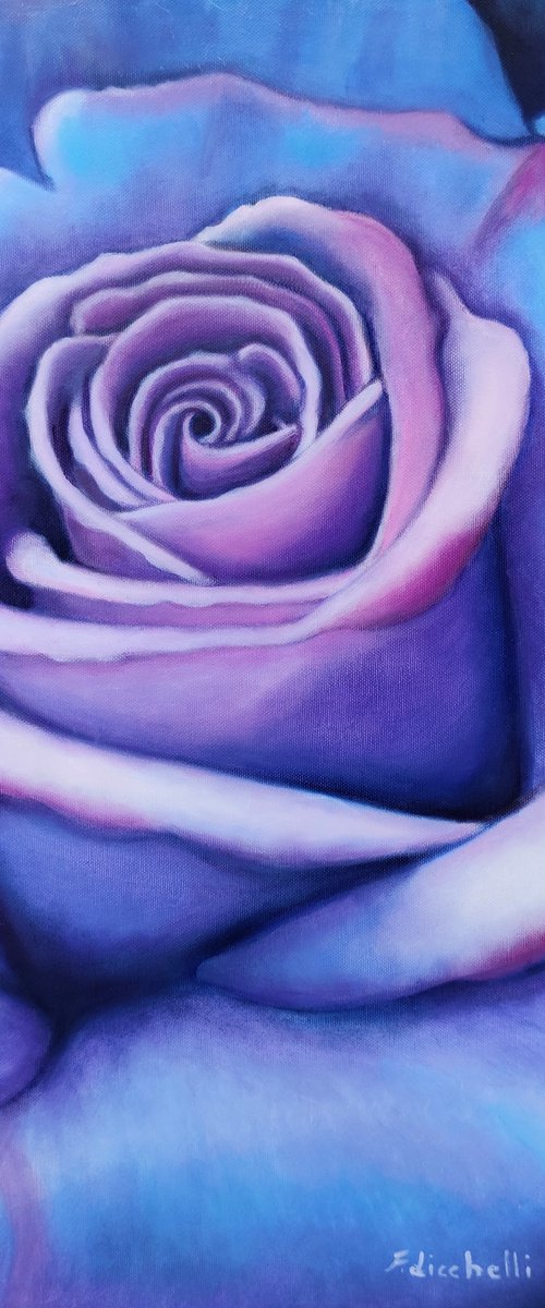 Sapphire rose by Francesca Licchelli