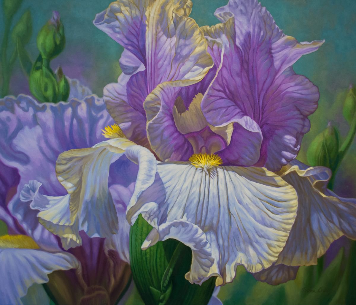 Floralscape 4: Mauve and Purple Irises by Fiona Craig