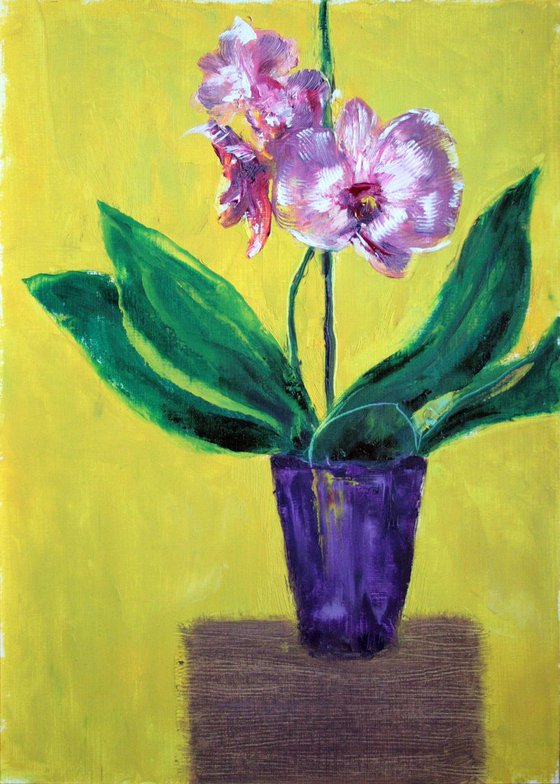 Orchid I /  ORIGINAL PAINTING