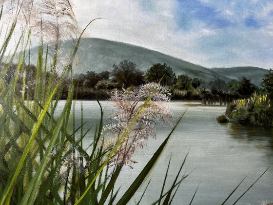 Whispers of the Sebino Wetlands