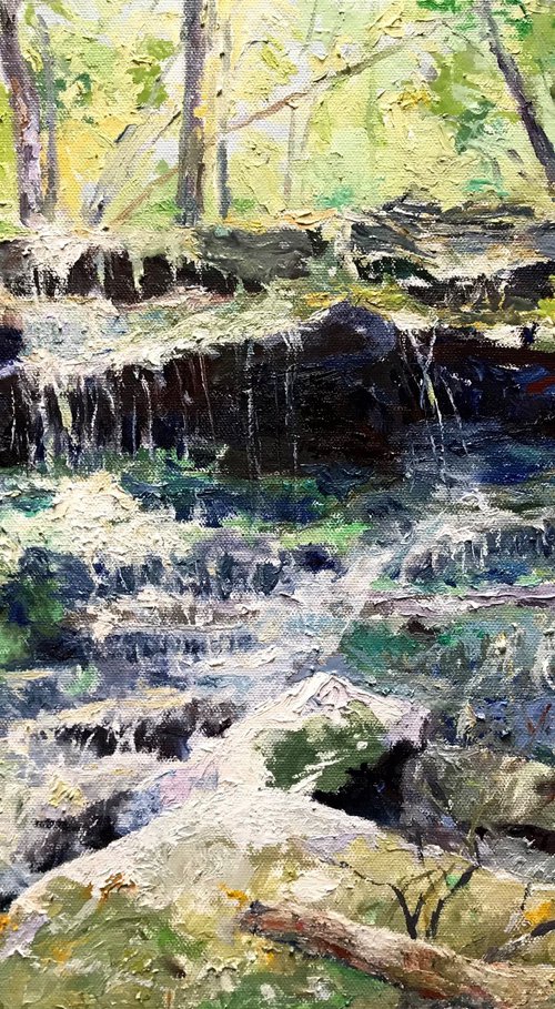 “Waterfall along Mud Lake” by Steven Hagy