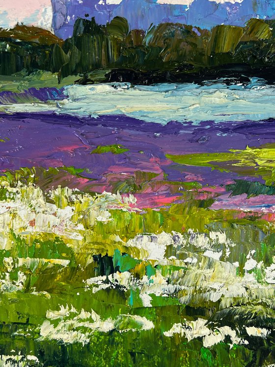 Meadows of Growing Flowers