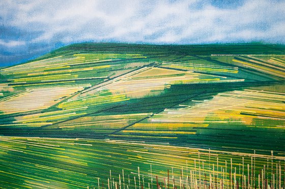 Devon Hills In Summer